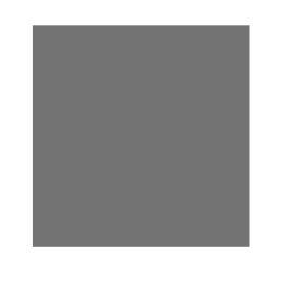 Foggy Grey