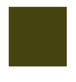 Damskie scrubsy medyczne oliwkowe – olive | Medwe
